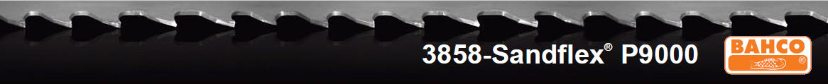 3858-Sandflex P9000