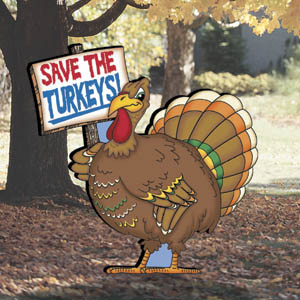 Protesting Turkeys