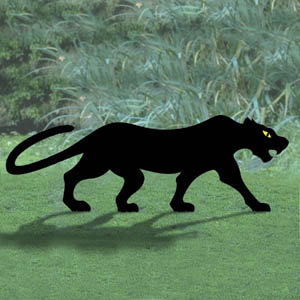 Yellow-Eyed Black Panther
