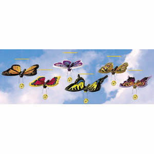 Butterfly-Ers