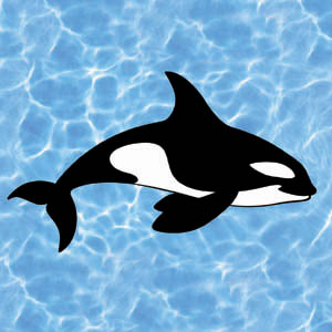 Orca