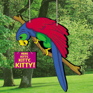 Here Kitty, Kitty!