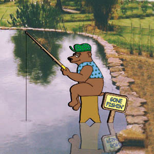 Fisher - Bear