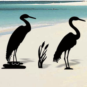 Sand Hill Cranes