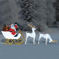 3-D Santa & Sleigh Set