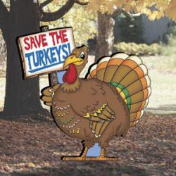 Protesting Turkeys
