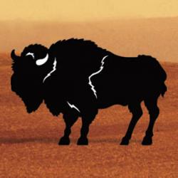 Buffalo