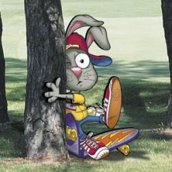 Skateboardin' Bunny Smash!