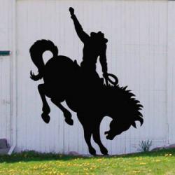Bucking Bronco