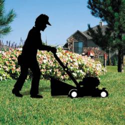 Mowing Mania (Push Mower)