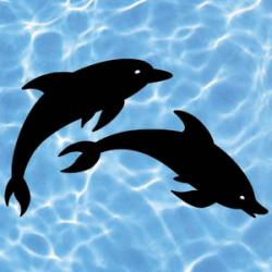 Dolphins