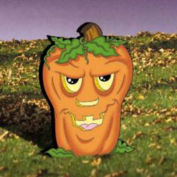 Franken - Pumpkin