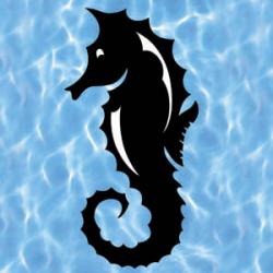 Seahorse