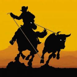 Roping Cowboy