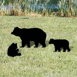 Mama Bear & Cubs