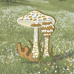 Madcap Mushrooms