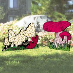 Morel & Russula Mushrooms