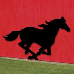 Racing Mustang