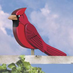 Big 3-D Cardinal