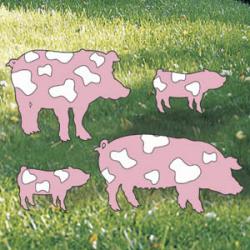 Painted Porkers
