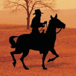 Trail Ride